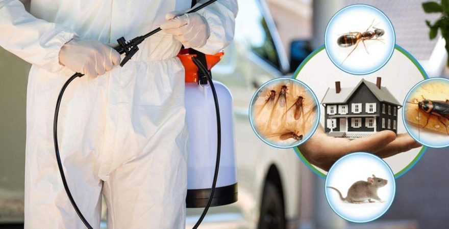 Gazipaşa Böcek İlaçlama