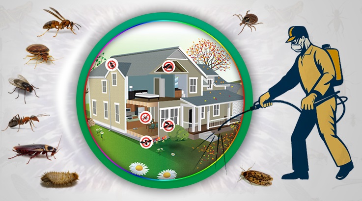 Gazipaşa Böcek İlaçlama