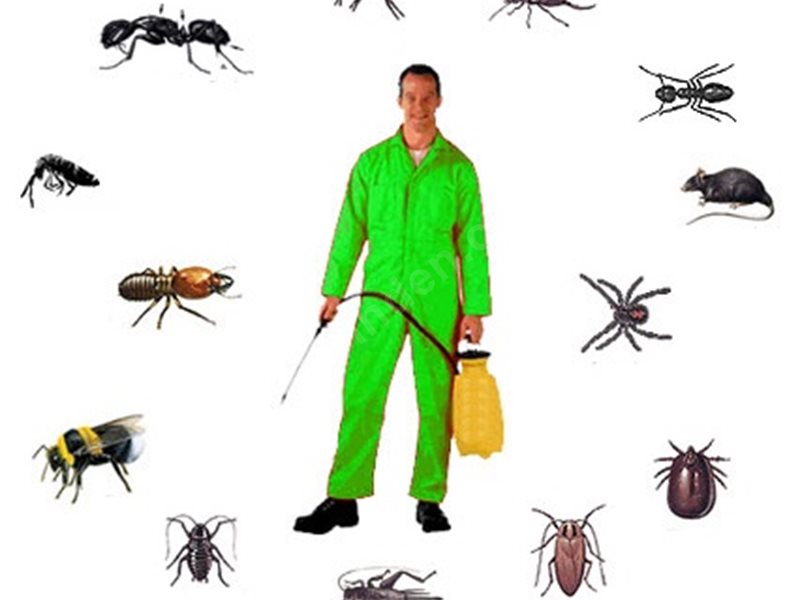 Gazipaşa Böcek İlaçlama