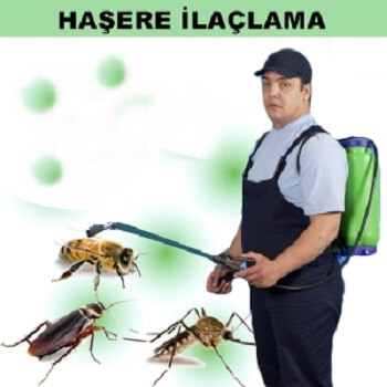 Gazipaşa Böcek İlaçlama